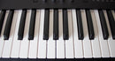 Korg Others Wavestate Se 61