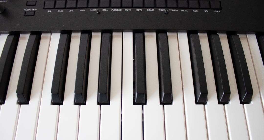 Korg Others Wavestate Se 61