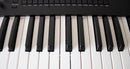 Korg Others Wavestate Se 61
