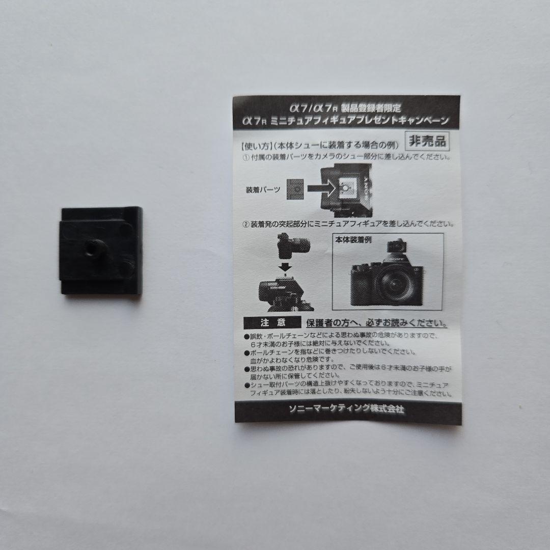 Sony Other 7R