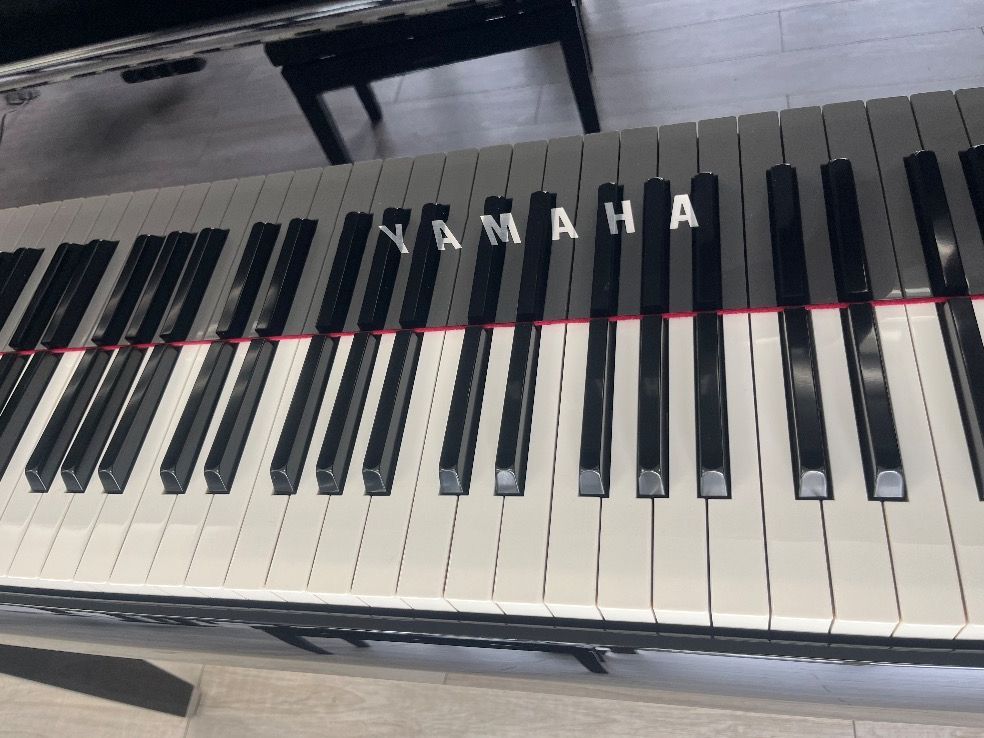 Yamaha Keyboard Electronic Piano 83831 N2 12