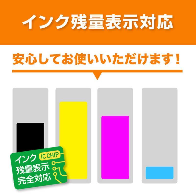 Plaisir Ink Ribbon Pf-I1700M Bpl-Cpfi1700M