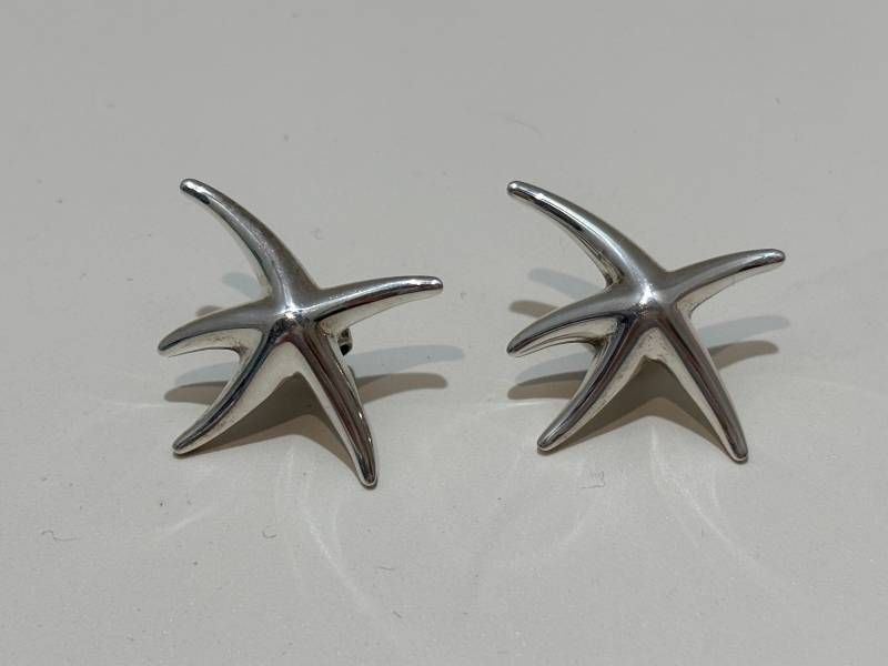 Tiffany Earrings (For Both Ears) Co. 925