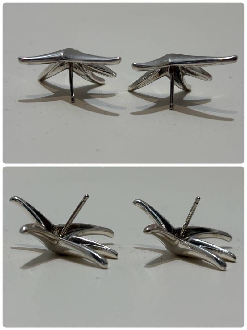 Tiffany Earrings (For Both Ears) Co. 925