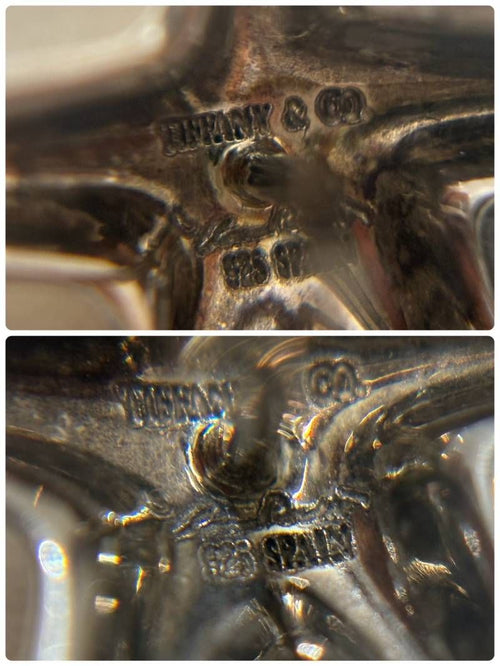 Tiffany Earrings (For Both Ears) Co. 925