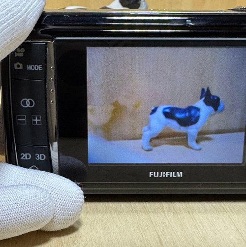 Fujifilm Compact Digital Camera Real3D W1