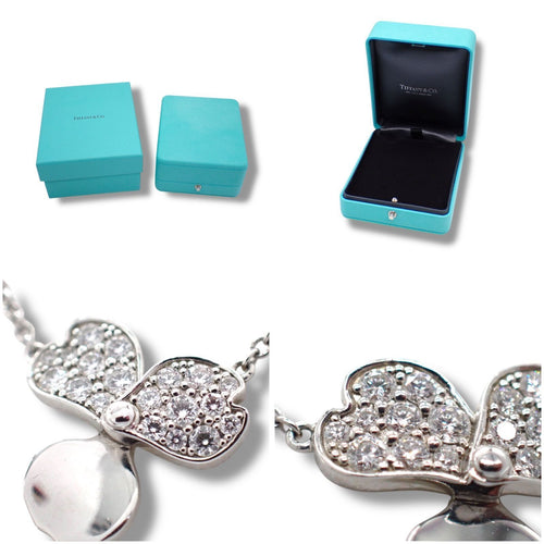 Tiffany Necklace Pt950 4572