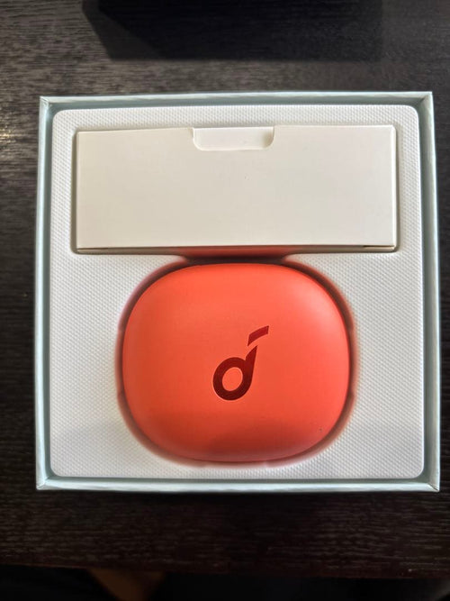 Wireless Earphones Soundcore Life P3