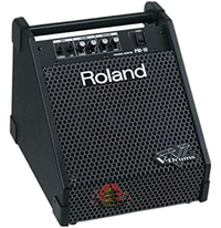 Cable Conversion Plug Roland Pm-10