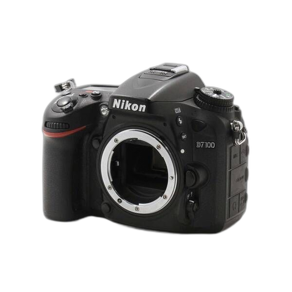 Nikon Digital Slr D7100 262