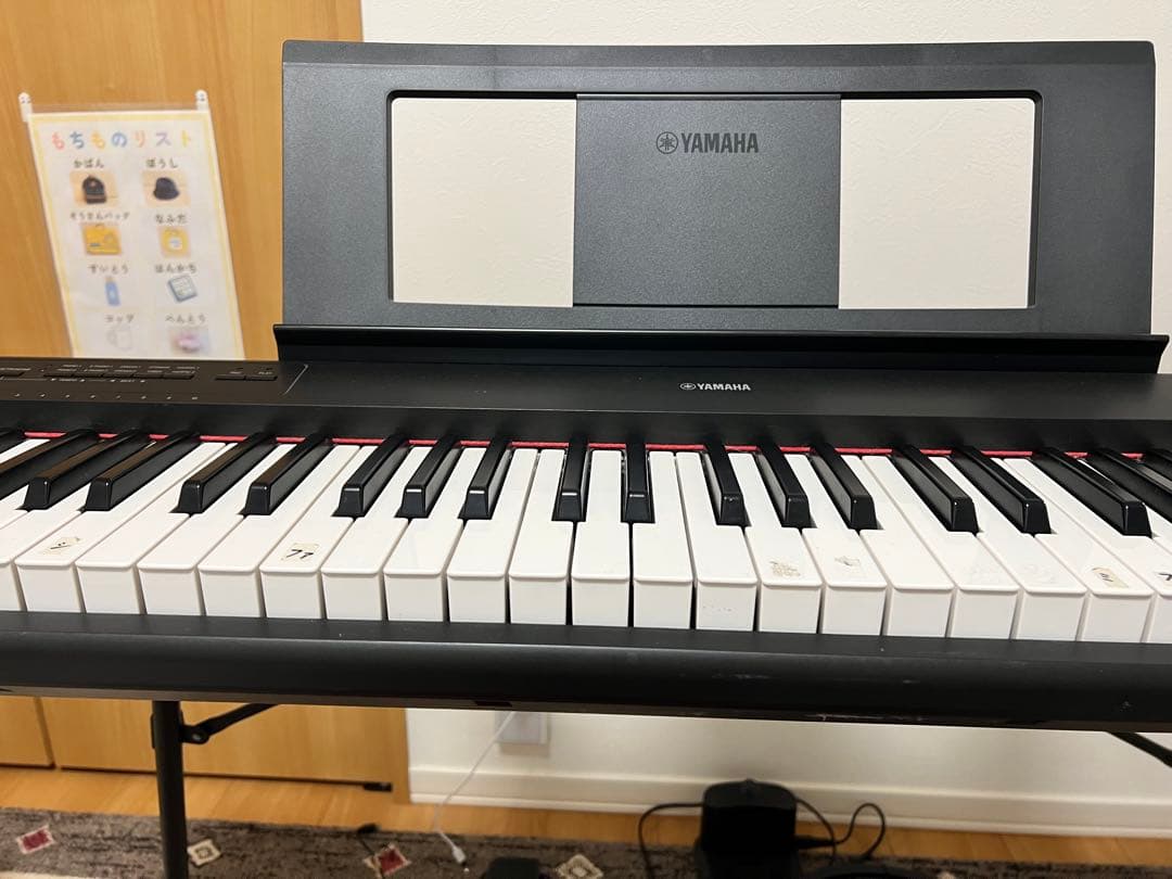 Yamaha Keyboard Electronic Piano Piaggero Np-12
