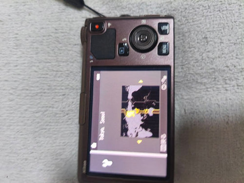 Nikon Compact Digital Cameras Coolpix S9500