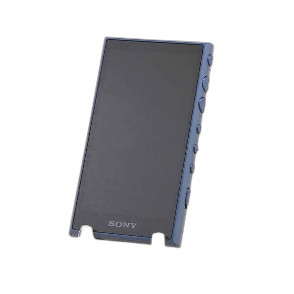 Sony Digital Audio Player Walkman A100 32Gb+Microsd Nw-A106 276
