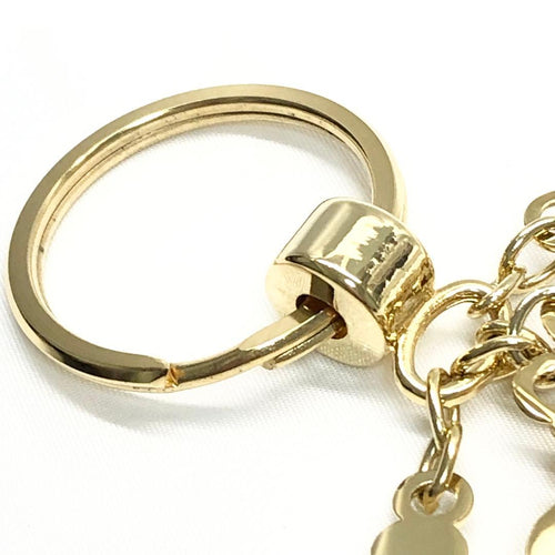 Christian Dior Keychains Key Rings