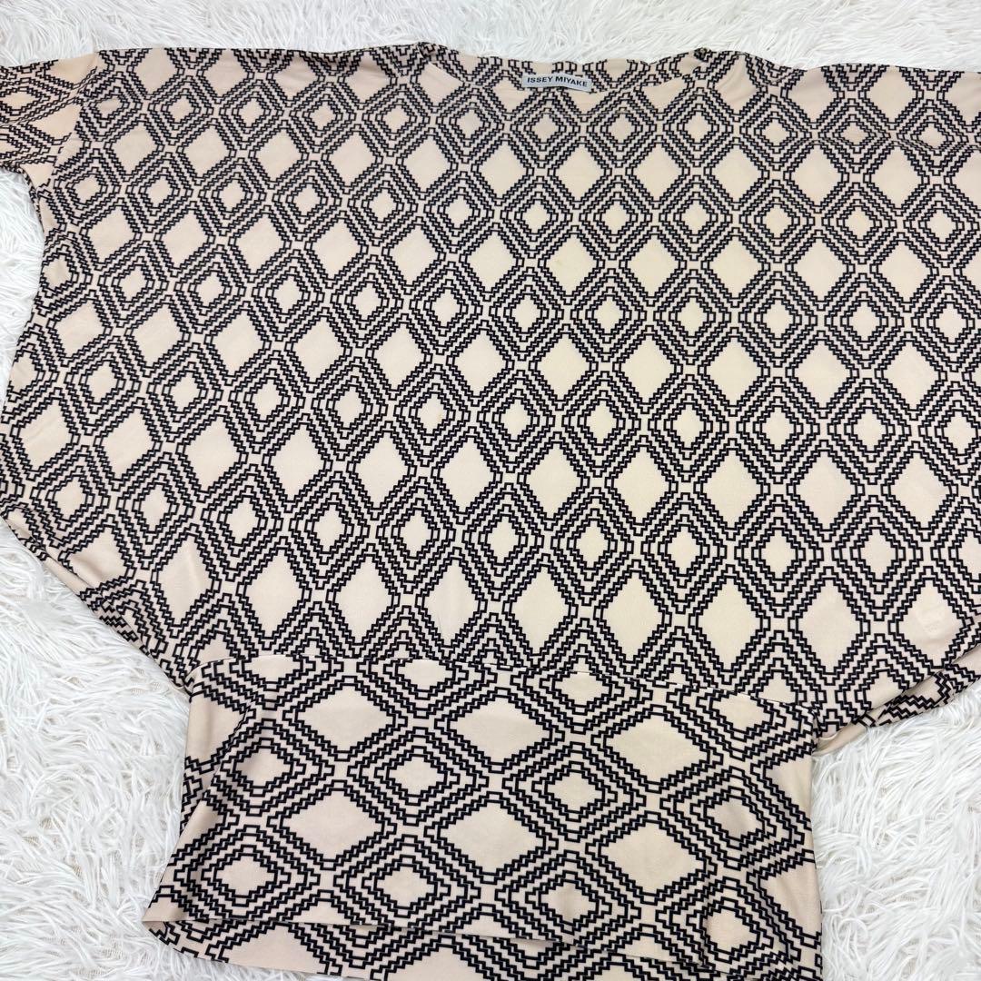 Issey Miyake Long Sleeve 2