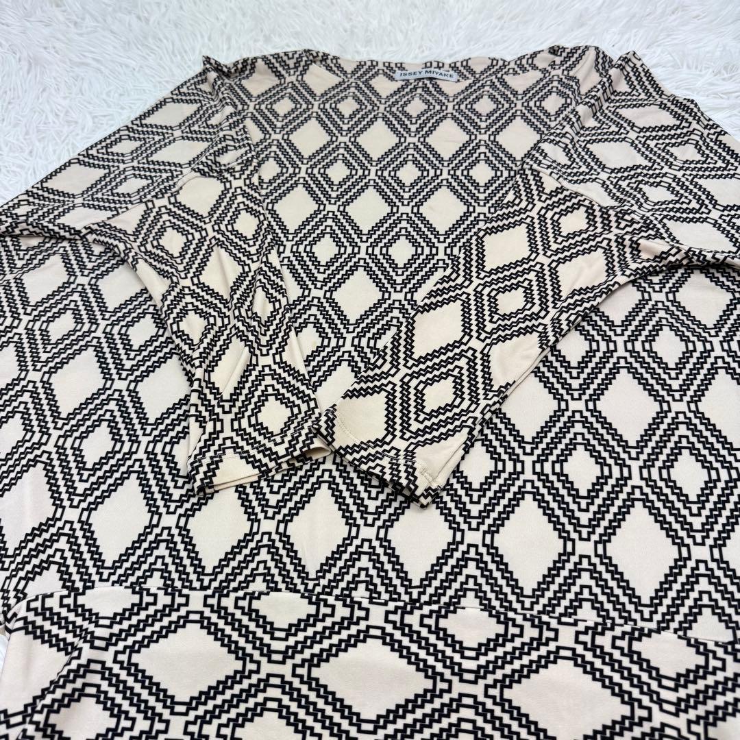 Issey Miyake Long Sleeve 2