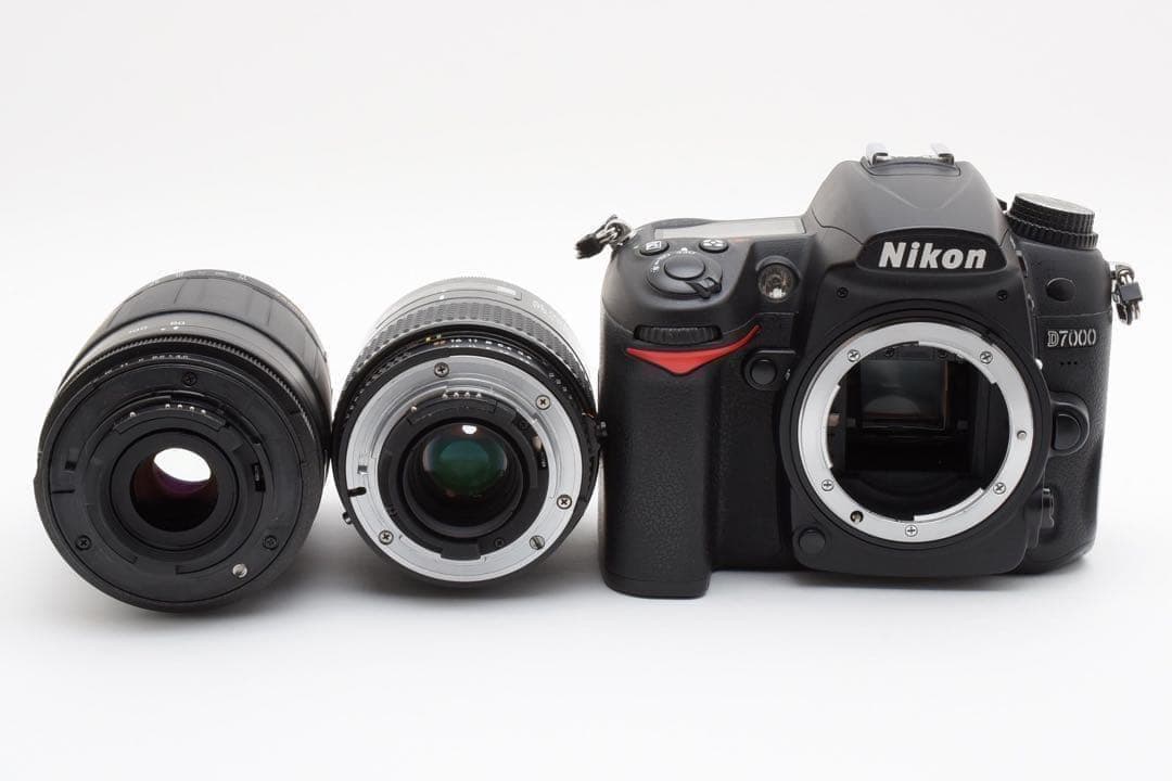 Nikon Digital Slrs D7000