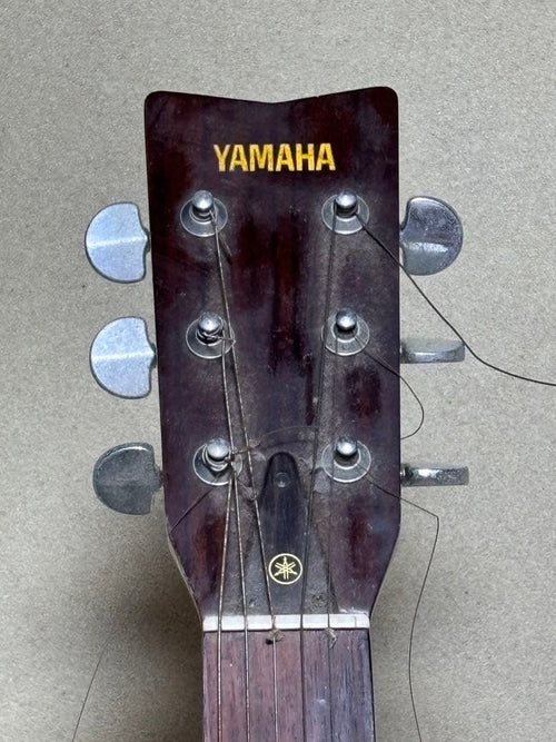 Yamaha Acoustic Guitars