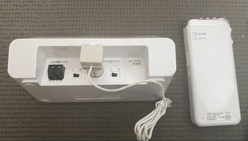 Sony Digital Audio Players Icz-R100
