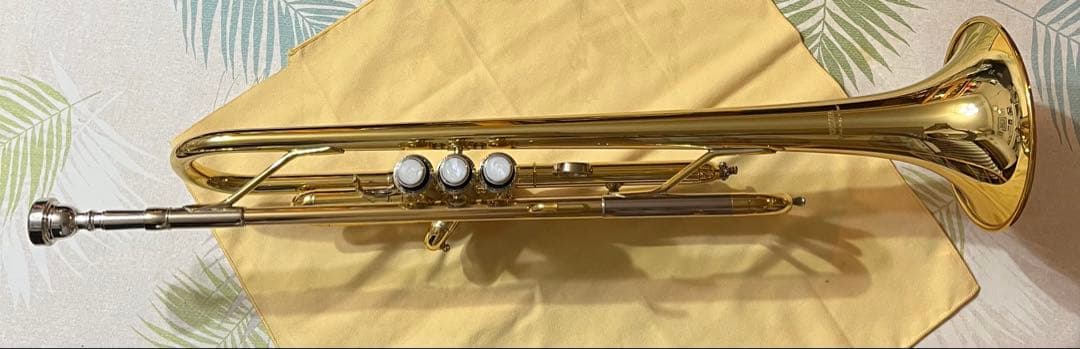 Yamaha Trumpet Body Ytr-4320E