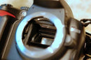 Nikon Digital Slrs D5000