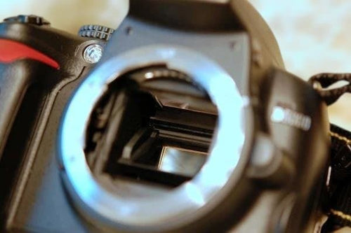 Nikon Digital Slrs D5000