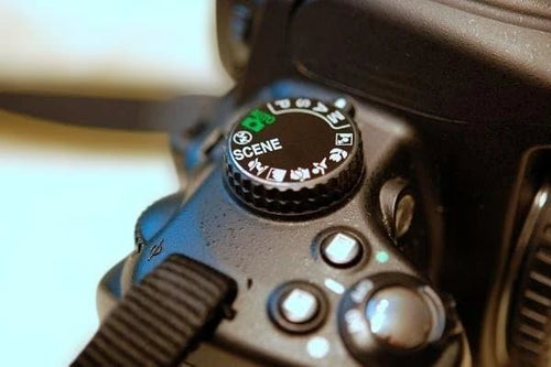 Nikon Digital Slrs D5000