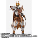 Kamen Rider S.H.Figuarts