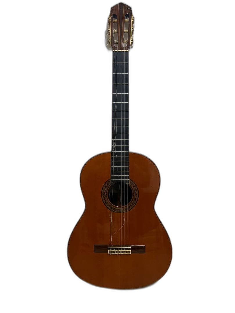 Classical Guitar Yamaha/ Gc-6D 1971