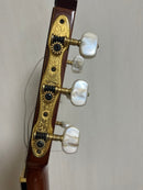 Classical Guitar Yamaha/ Gc-6D 1971