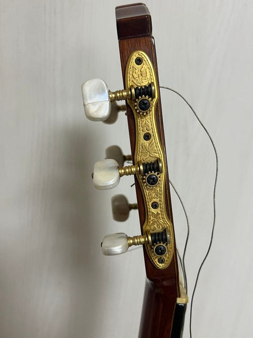 Classical Guitar Yamaha/ Gc-6D 1971