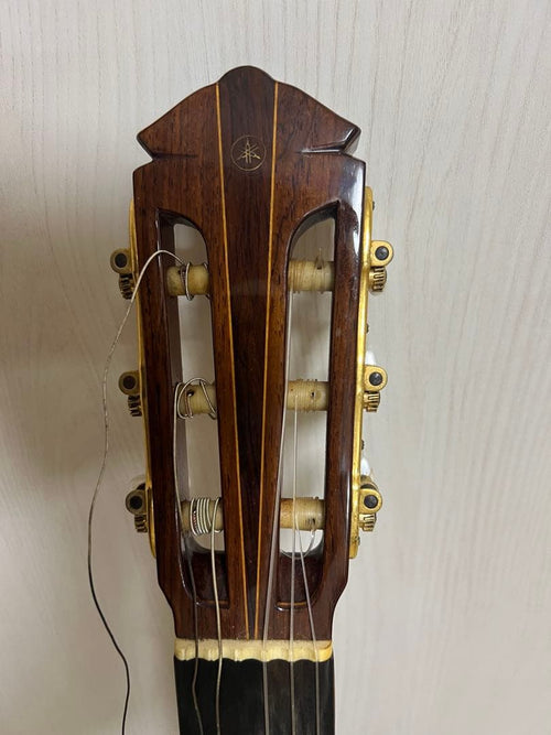 Classical Guitar Yamaha/ Gc-6D 1971