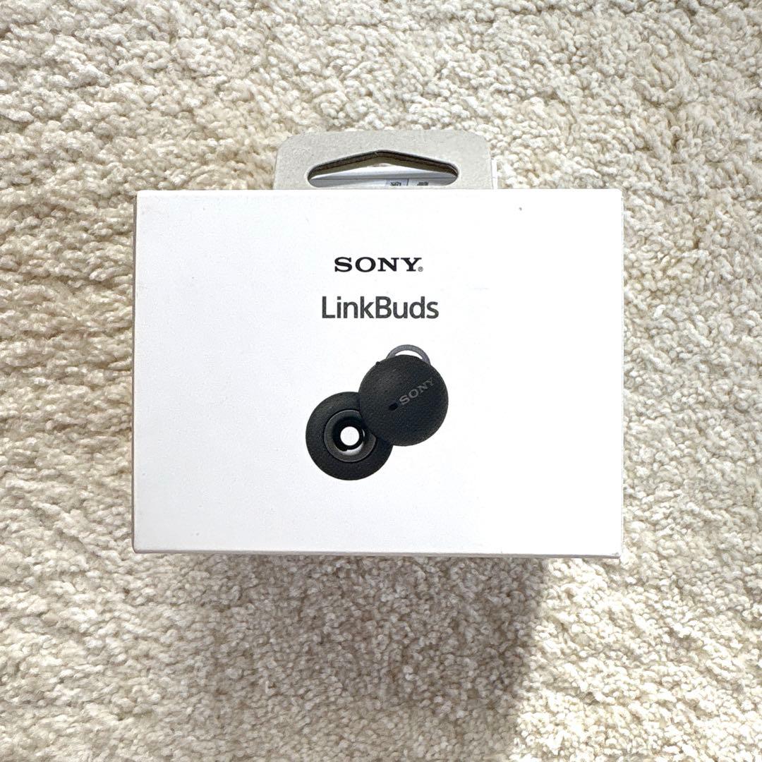 Sony Wireless Earphones Linkbuds Wf-L900/Hm