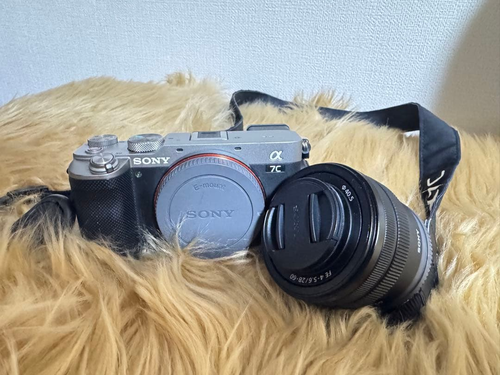 Sony Mirrorless Interchangeable Lips 7C