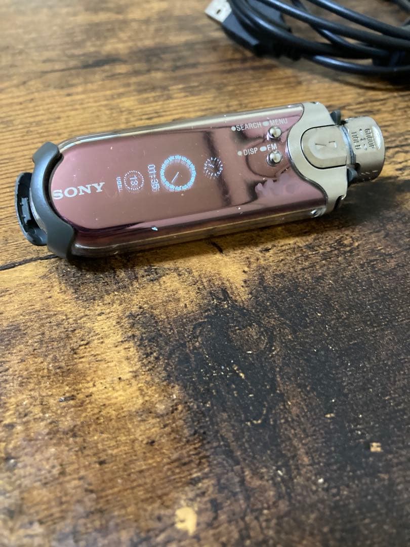 Sony Others Nw-E507