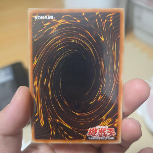 Yu -Gi -Oh! Ocg Duel Monsters 3
