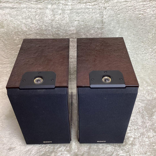 Sony Speakers Map-S1 Ss-Hw1
