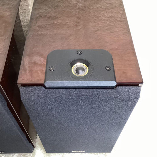 Sony Speakers Map-S1 Ss-Hw1