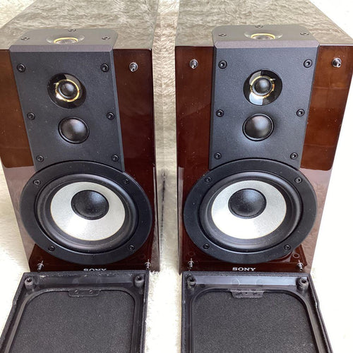 Sony Speakers Map-S1 Ss-Hw1