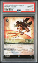 Other Psa10