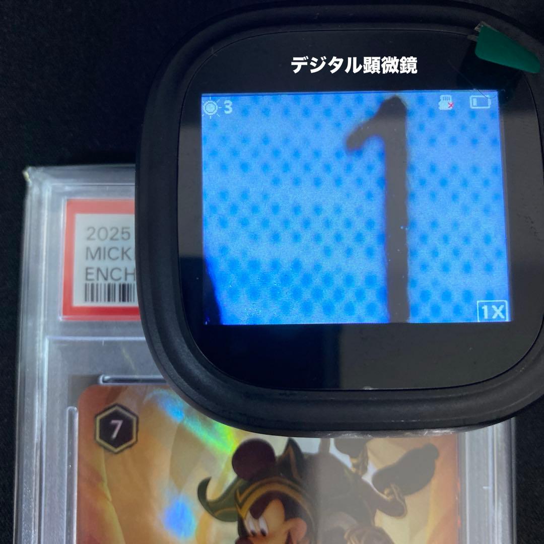 Other Psa10