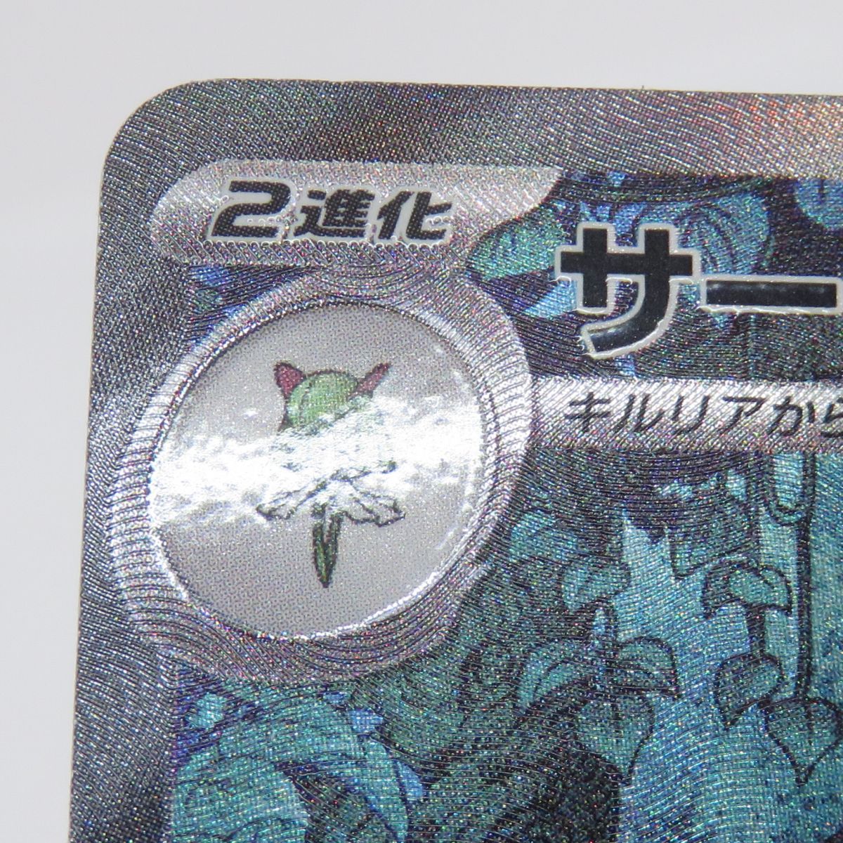 Pok Mon Tcg Pokemon Card Game Ex Sv4A 348/190 Sar