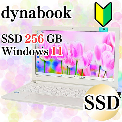 Dynabook Windows Notebook Body Dvd Ssd256Gb