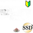 Dynabook Windows Notebook Body Dvd Ssd256Gb