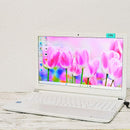 Dynabook Windows Notebook Body Dvd Ssd256Gb