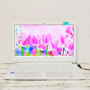 Dynabook Windows Notebook Body Dvd Ssd256Gb