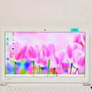 Dynabook Windows Notebook Body Dvd Ssd256Gb