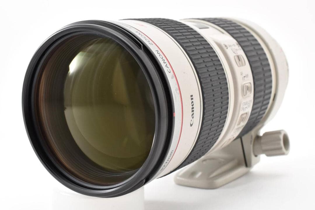 Canon Zoom Lenses Ef 70-200Mm F2.8L Is Usm #381