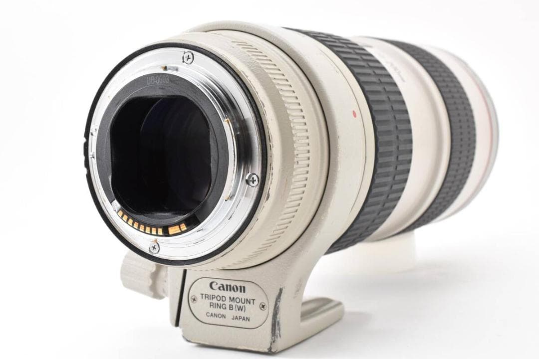Canon Zoom Lenses Ef 70-200Mm F2.8L Is Usm #381