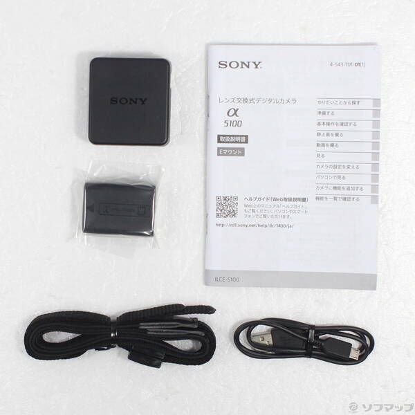 Sony Mirrorless Interchangeable Lips 5100 Ilce-5100 295